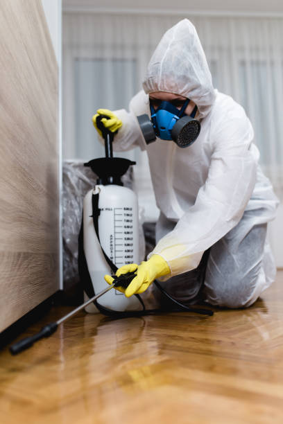 Reliable Westbury, NY Pest Control Solutions